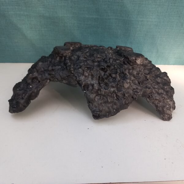 pot Bonsaï aspect rocher – Image 7