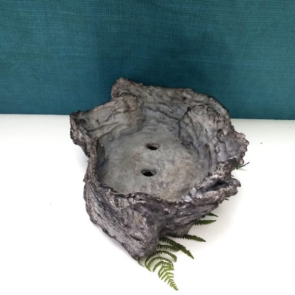 pot Bonsaï ovale aspect pierre grise – Image 7