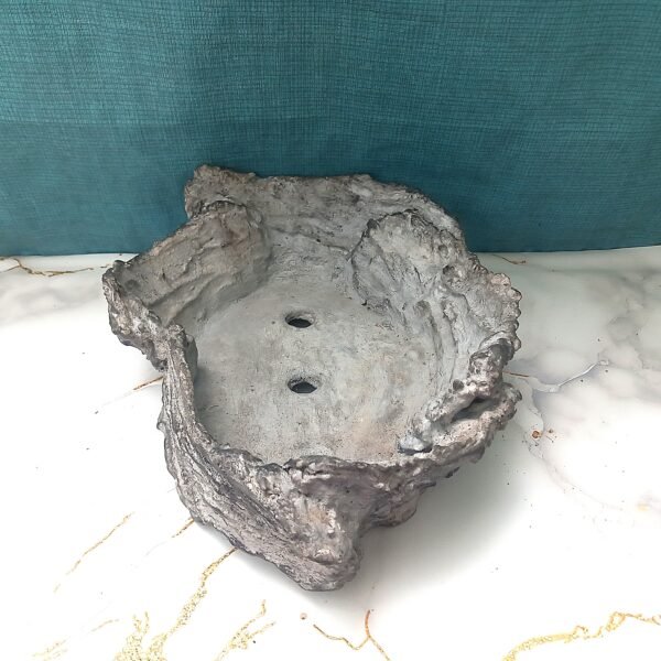 grand pot Bonsaï ovale aspect pierre grise – Image 4