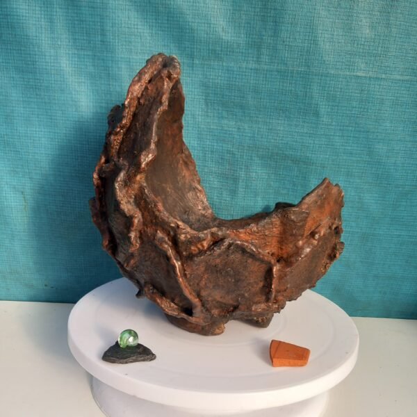 pot Bonsaï coquille pour  cascade ou semi-cascade – Image 4