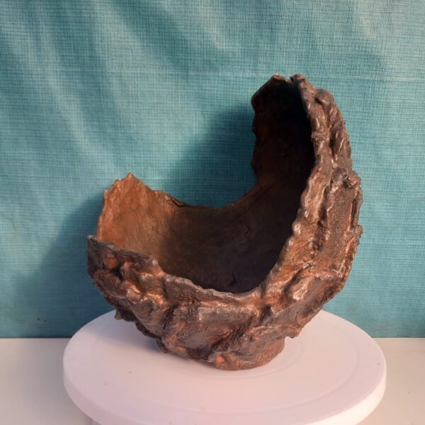 pot Bonsaï coquille pour  cascade ou semi-cascade – Image 3