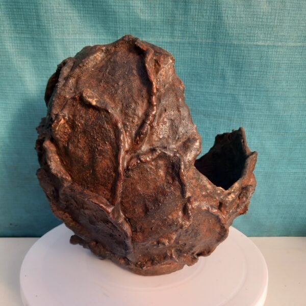 pot Bonsaï coquille pour  cascade ou semi-cascade – Image 7