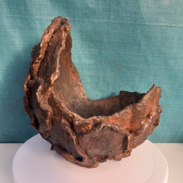 pot Bonsaï coquille pour  cascade ou semi-cascade – Image 2