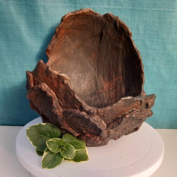 pot Bonsaï coquille pour  cascade ou semi-cascade – Image 5