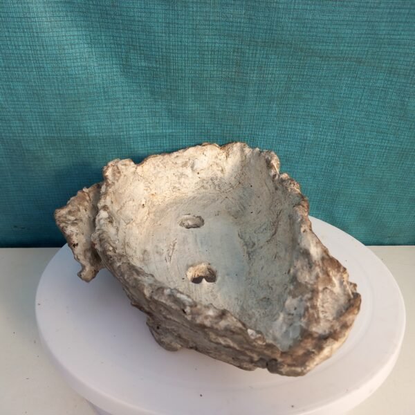 pot Bonsaï ovale aspect pierre – Image 5