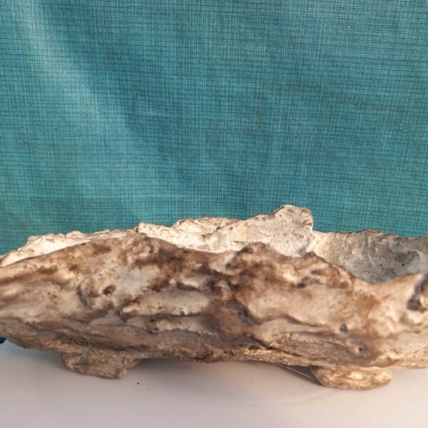pot Bonsaï ovale aspect pierre – Image 7