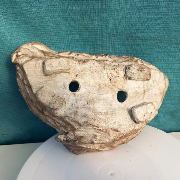 pot Bonsaï ovale aspect pierre – Image 8