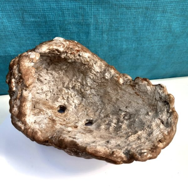 Pot Bonsaï coquille aspect kurama – Image 7
