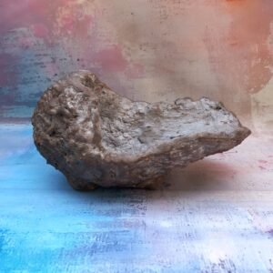 Pot Bonsaï coquille aspect kurama