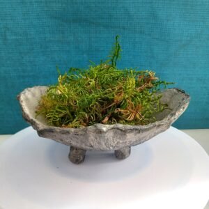 support  pour kokedama