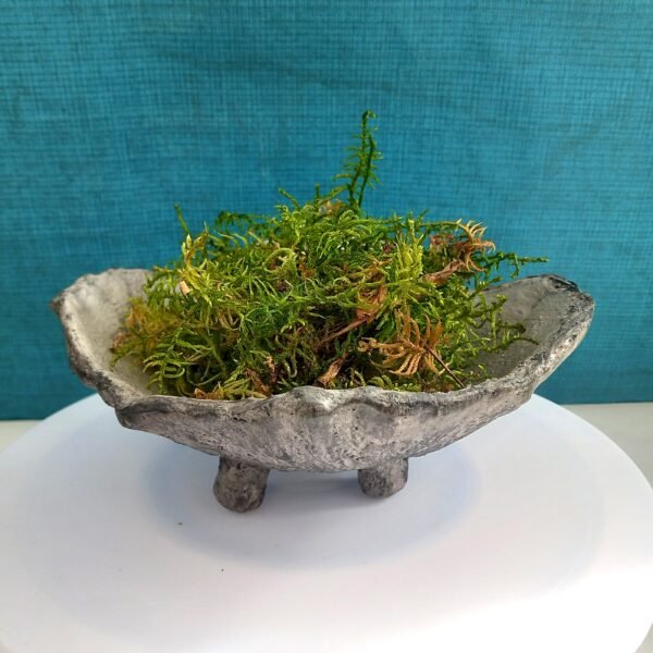 support  pour kokedama