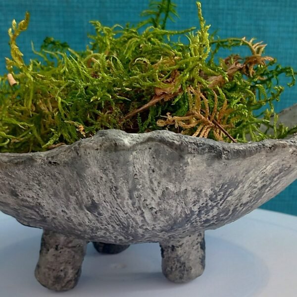 support  pour kokedama – Image 6
