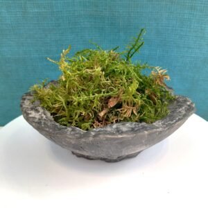 soucoupe pour kokedama, support pour Kokedama