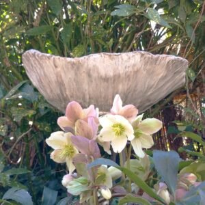 grande jardiniére  50 cm  ton pierre