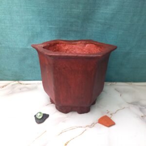 pot pour Bonsaï cascade ou semi-cascade artisanal