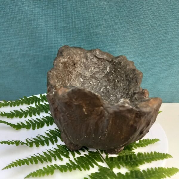 pot Bonsaï   aspect rocher artisanal – Image 11