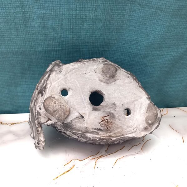 pot pour Bonsaï aspect gris pierre – Image 7
