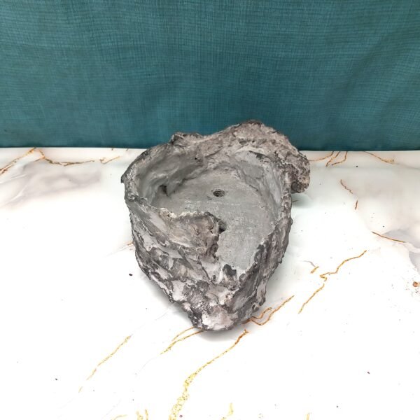 pot pour Bonsaï aspect gris pierre – Image 11