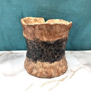 grand pot pour plante verte ou grasse