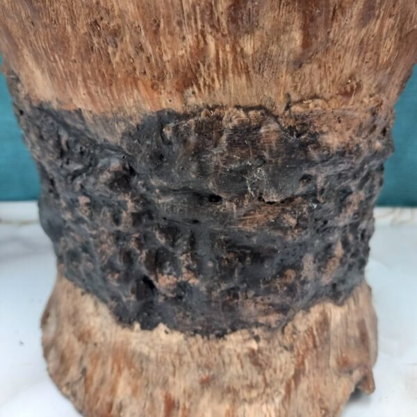 grand pot pour plante verte ou grasse – Image 6