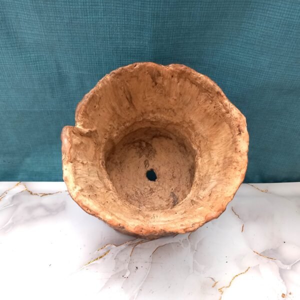 grand pot pour plante verte ou grasse – Image 11