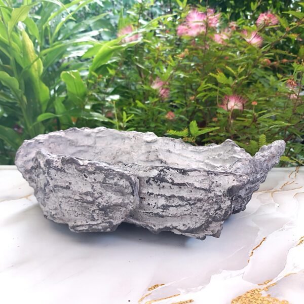 pot Bonsaï aspect pierre – Image 10