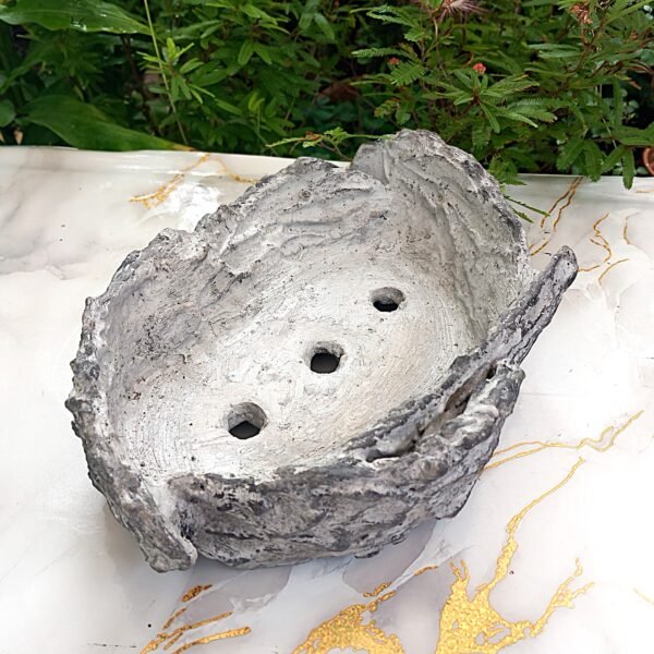 pot Bonsaï aspect pierre – Image 3
