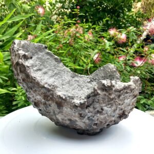 Pot Bonsai ou succulentes forme coquille