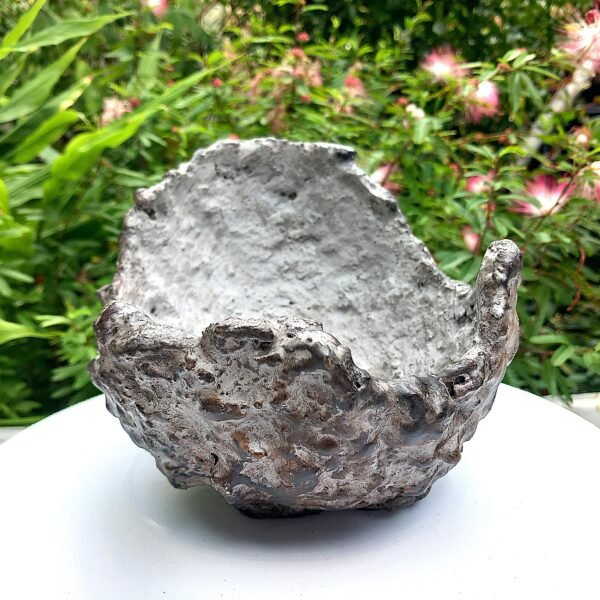 Pot Bonsai ou succulentes forme coquille – Image 4