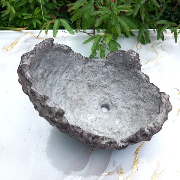 Pot Bonsai ou succulentes forme coquille – Image 5