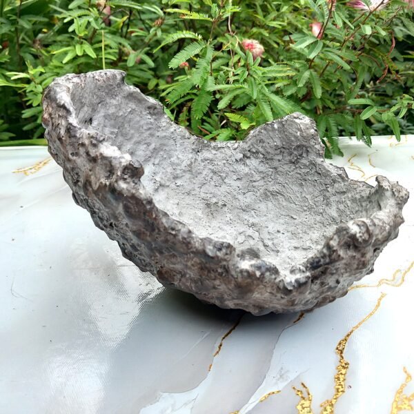 Pot Bonsai ou succulentes forme coquille – Image 2
