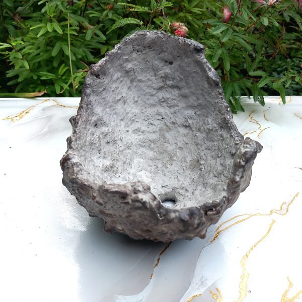 Pot Bonsai ou succulentes forme coquille – Image 6