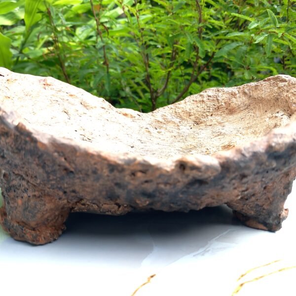 Pot Bonsaï texture granuleuse – Image 6