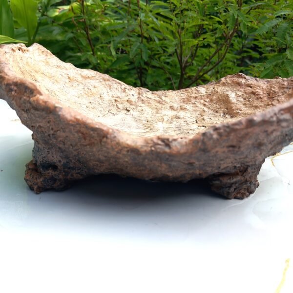 Pot Bonsaï texture granuleuse – Image 4
