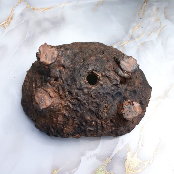 Pot Bonsaï texture granuleuse – Image 9