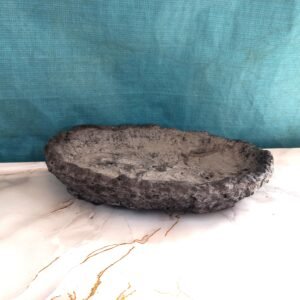 pot plat pour forêt de Bonsaï