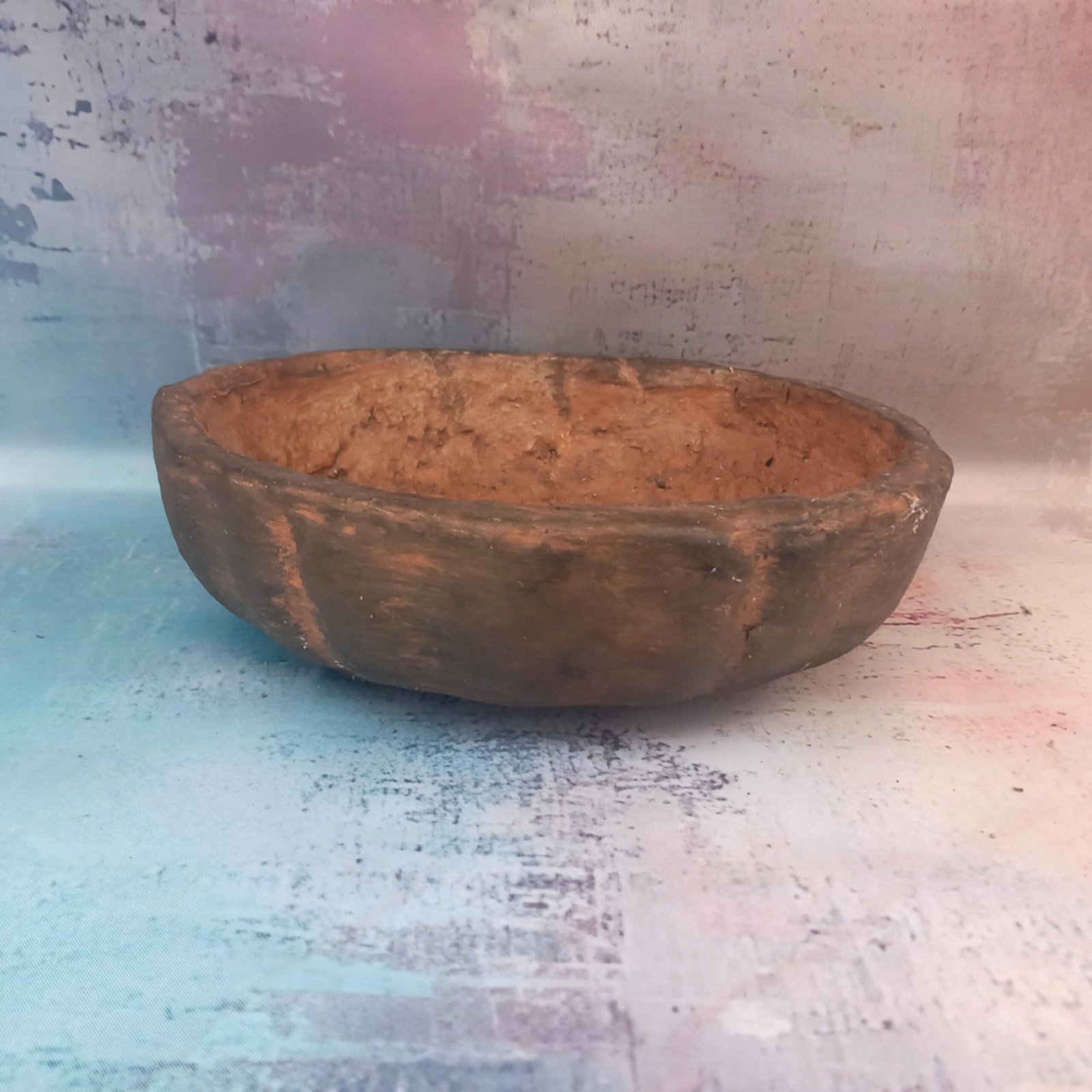 coupe ronde 20 cm pour Bonsaï – Image 10