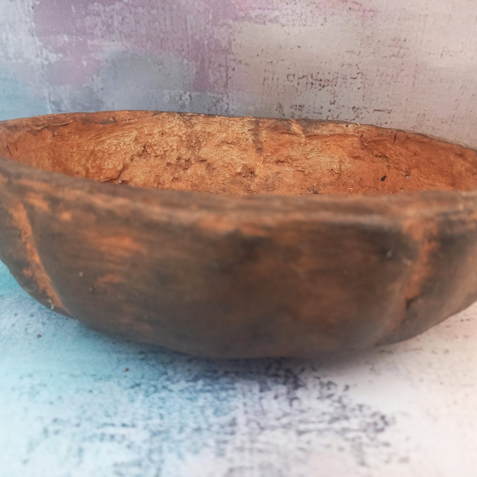 coupe ronde 20 cm pour Bonsaï – Image 6