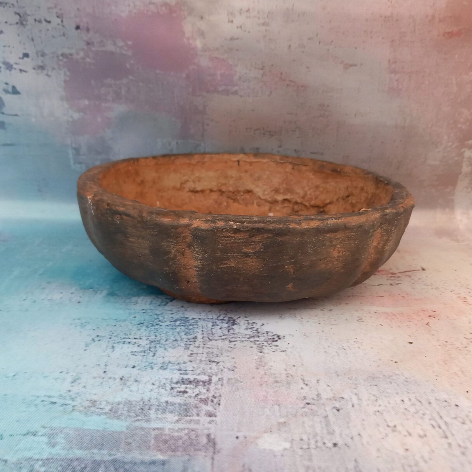 coupe ronde 20 cm pour Bonsaï – Image 5