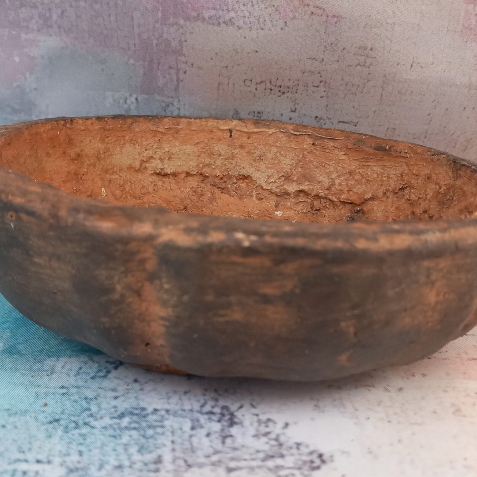 coupe ronde 20 cm pour Bonsaï – Image 7