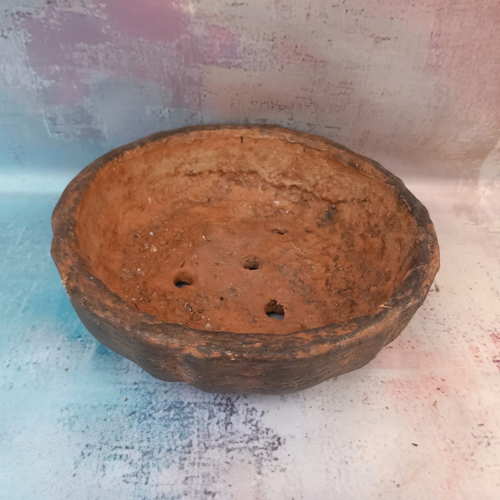 coupe ronde 20 cm pour Bonsaï – Image 4