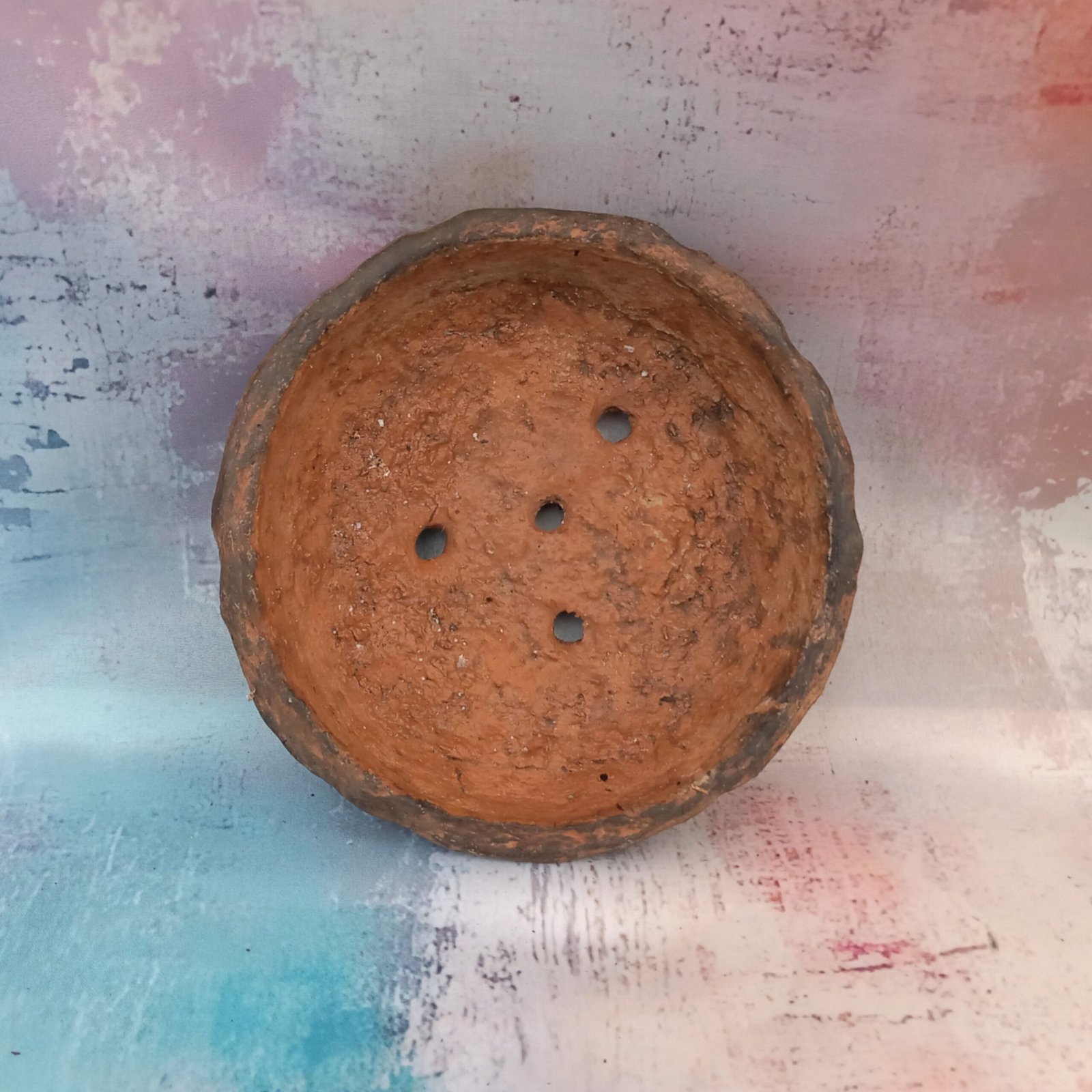 coupe ronde 20 cm pour Bonsaï – Image 8