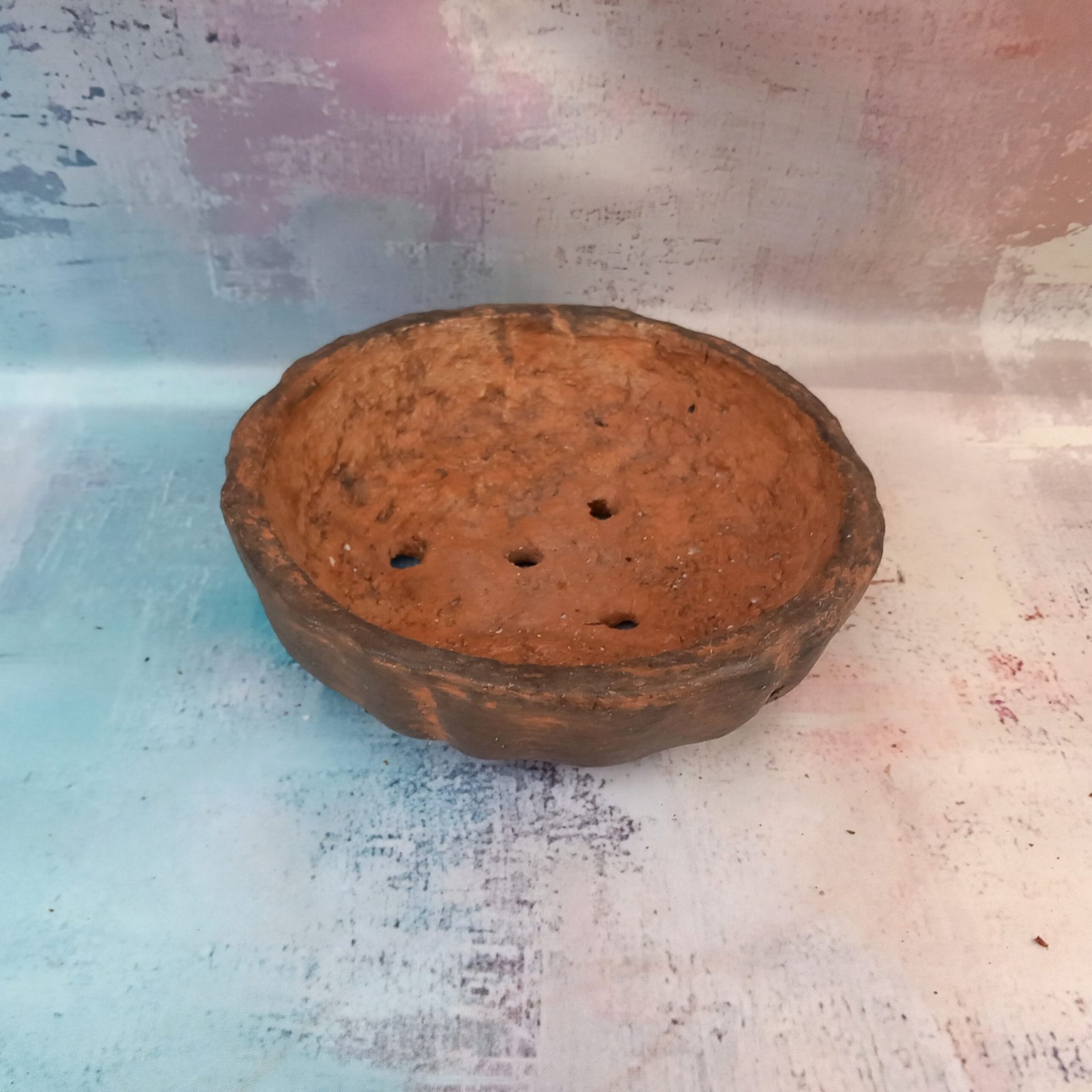 coupe ronde 20 cm pour Bonsaï – Image 3