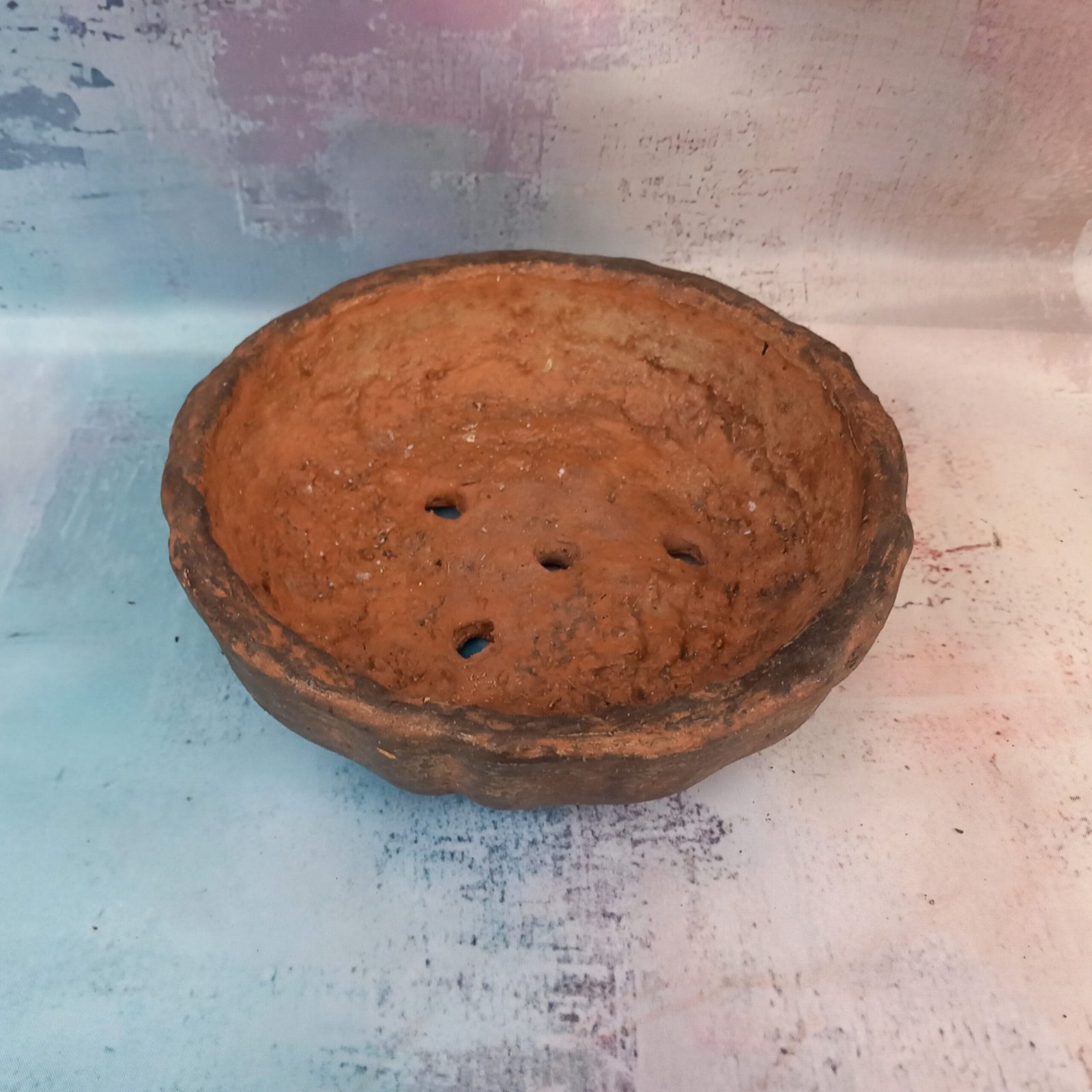 coupe ronde 20 cm pour Bonsaï – Image 11