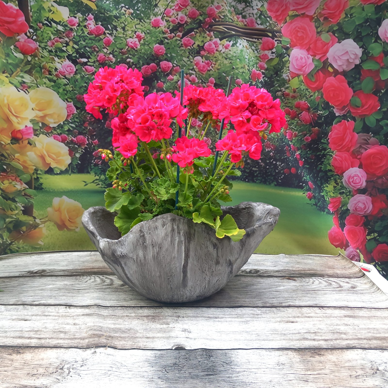 Jardinière d'extérieur artisanale grise forme coquille – Image 2