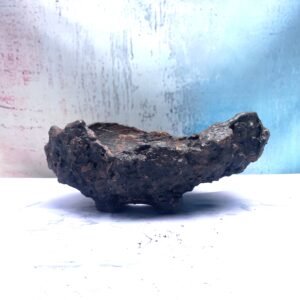 pot Bonsaï conque artisanal